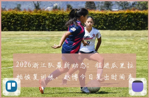 2026浙江队最新动态:程进瓜里拉帕恢复训练,赵博今日复出时间表,球队备战情况全解析